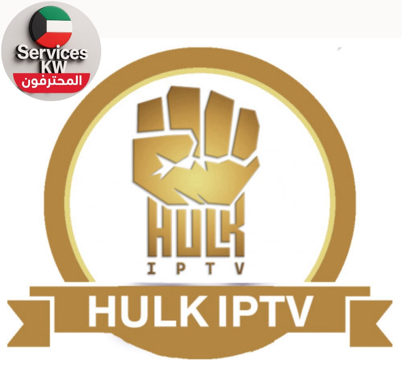 اشتراك هولك الكويت