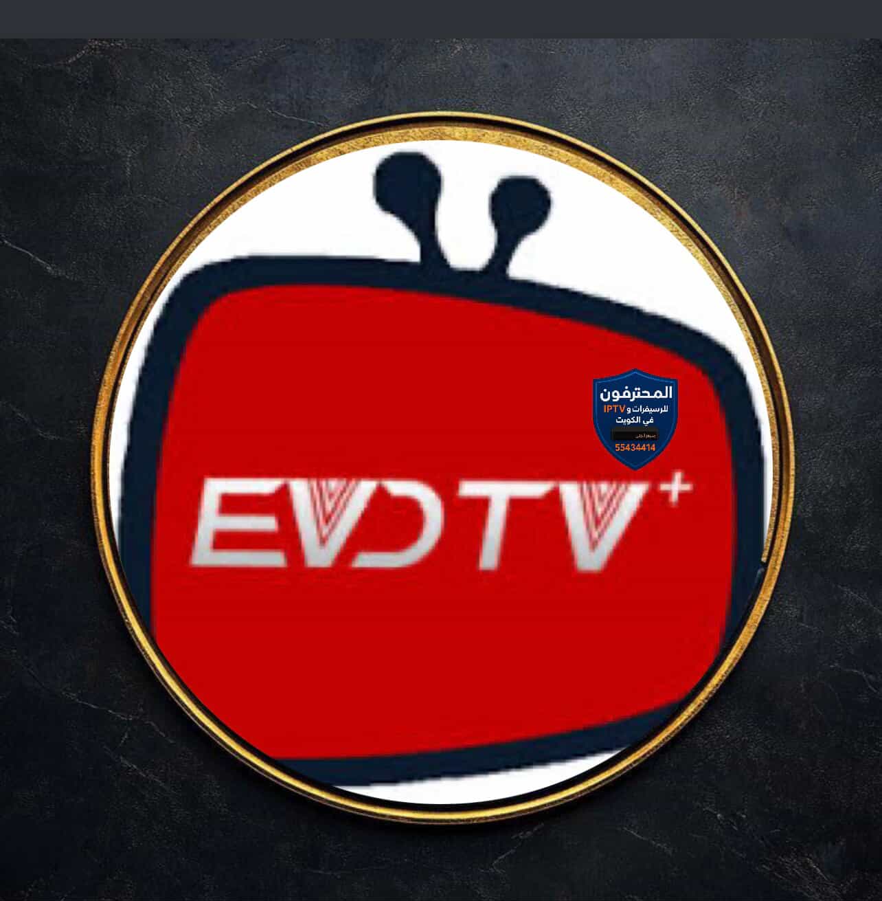 EVD TV (صورة توضيحية)