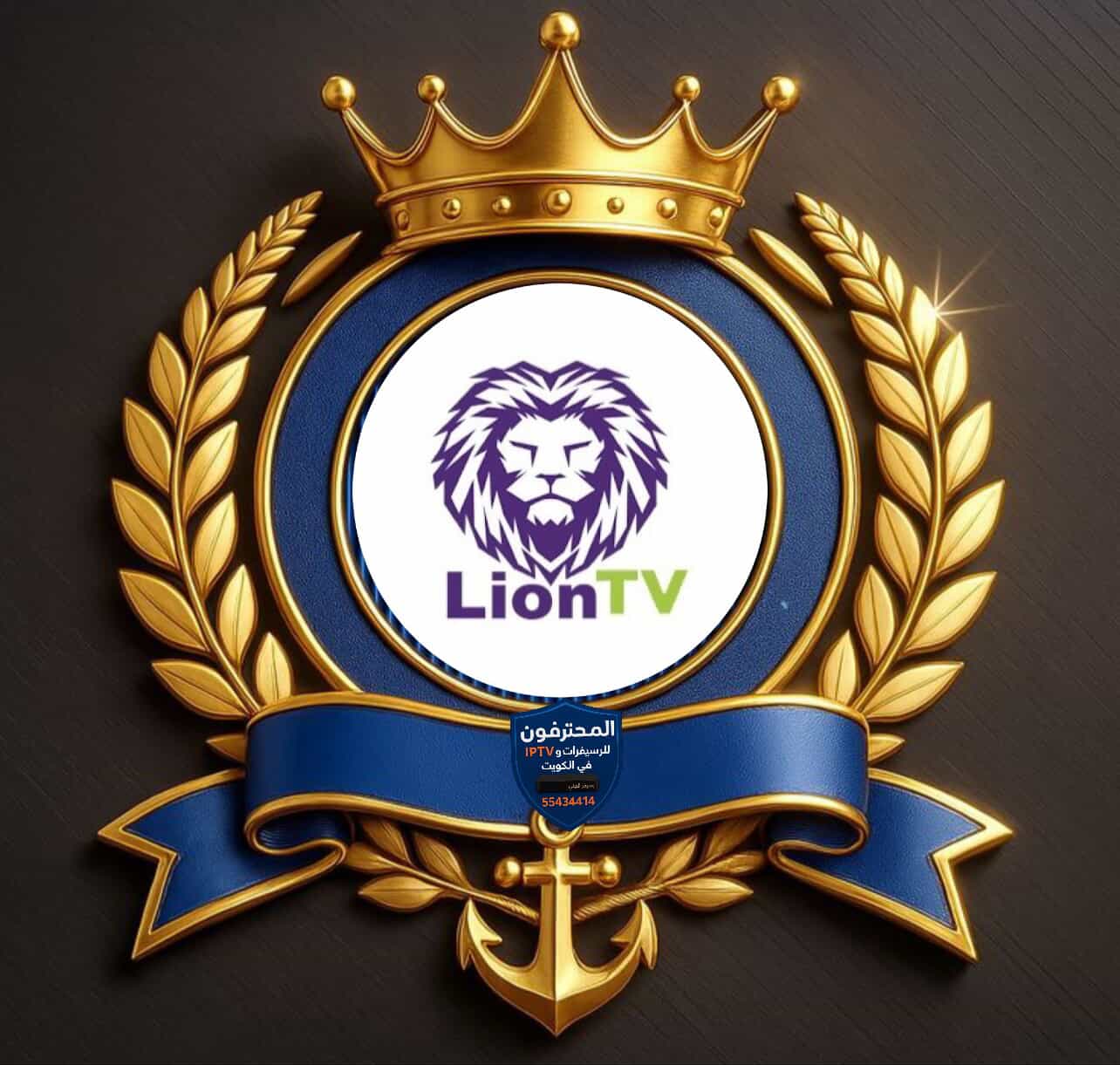 Lion TV