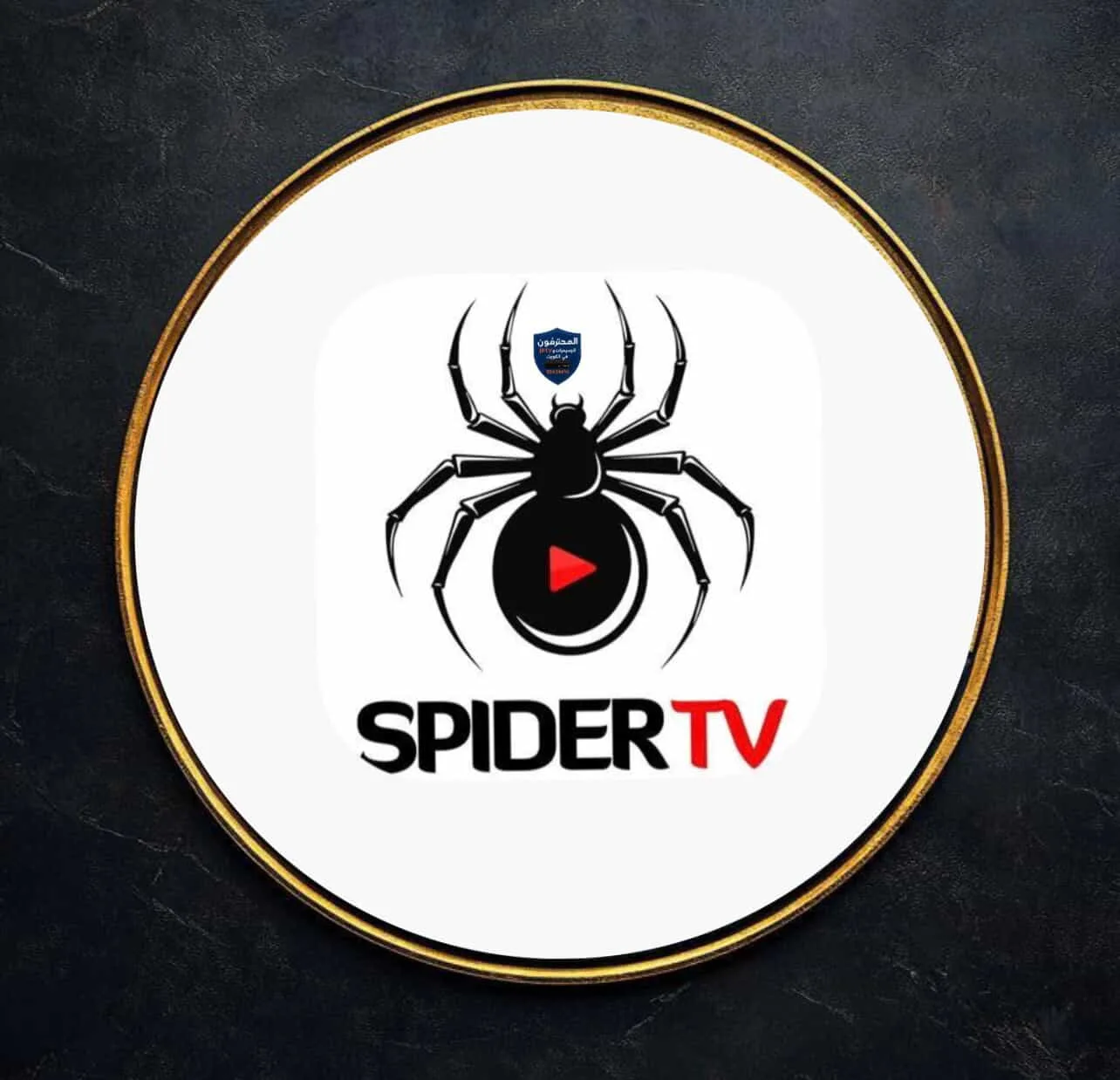 Spider TV